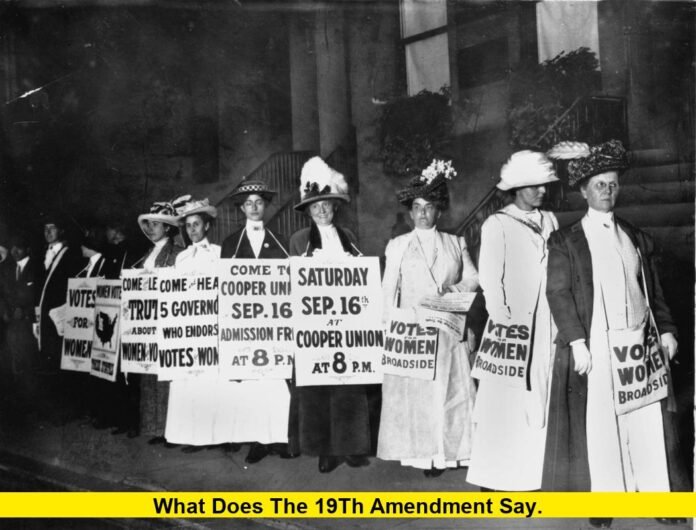 What Does the 19th Amendment Say. What Does the 19th Amendment Say