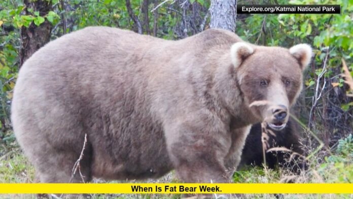 When Is Fat Bear Week.