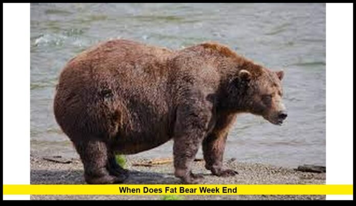 When does fat bear week end When Does Fat Bear Week End