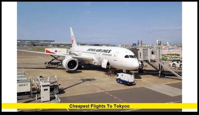 2026 Fare Trends, Best Travel Months and Smart Booking Tips