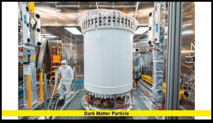 dark matter particle dark matter particle