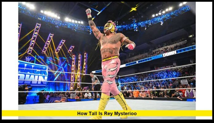 how tall is rey mysterioO WWE Legend’s Height, Weight and Career Story