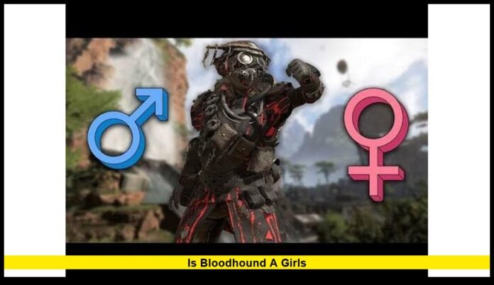 Apex Legends Character Identity Explained