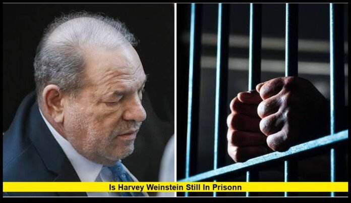 is harvey weinstein still in prisonn Latest 2026 Update on His Sentence and Legal Cases
