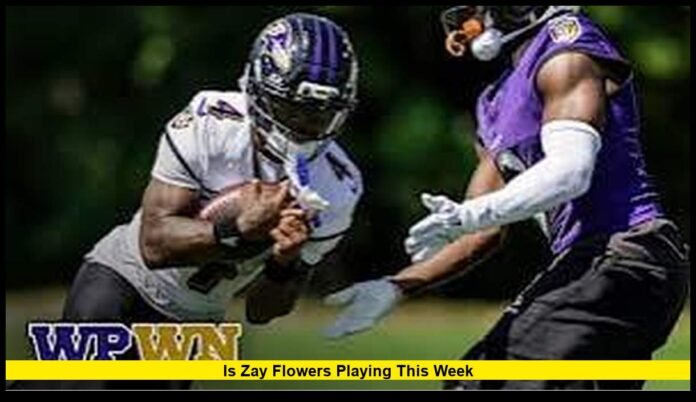is zay flowers playing this week