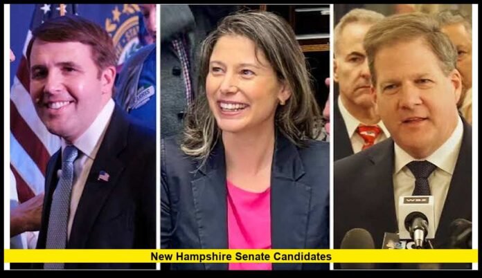 new hampshire senate candidates 2026 Race Enters General Election Stage