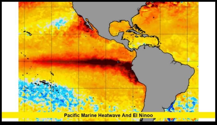 pacific marine heatwave and el ninoo Why the Pacific Ocean Is Heating Up and What Comes Next