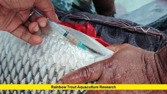 Rainbow Trout Aquaculture Research