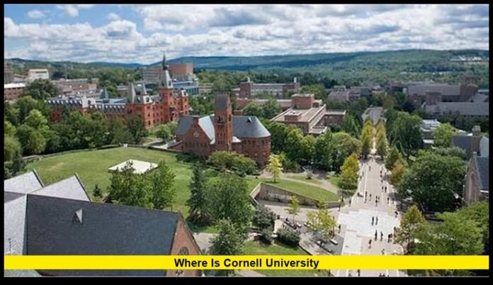 Complete Guide to Its Location, Campus, History, and Surroundings