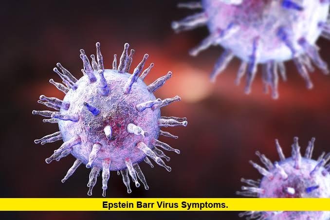 Epstein Barr Virus Symptoms. Epstein Barr Virus Symptoms