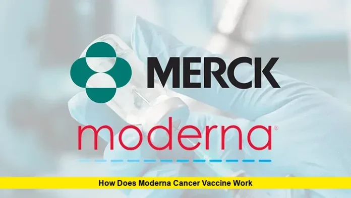 How Does Moderna Cancer Vaccine Work How Does Moderna Cancer Vaccine Work
