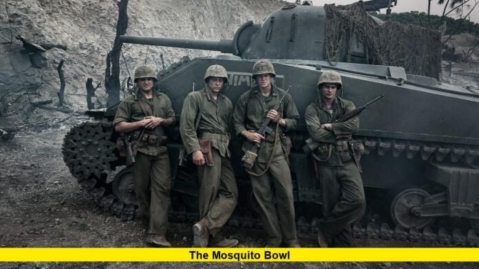 The Mosquito Bowl The Mosquito Bowl