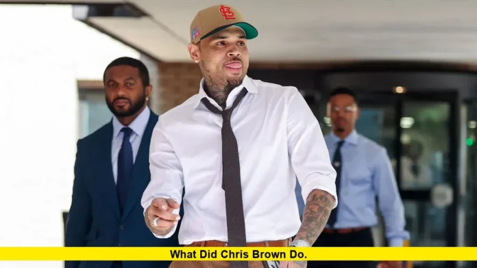 What Did Chris Brown Do