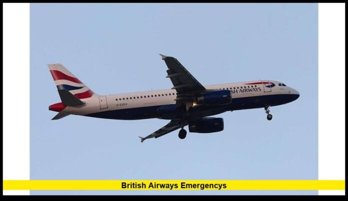 british airways emergencys BA295 Turns Back After Dramatic Midair Descent