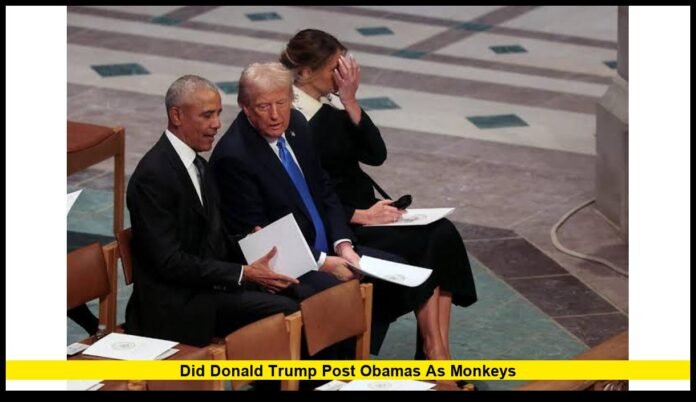 did donald trump post obamas as monkeys Truth Social Video Sparks Political Backlash