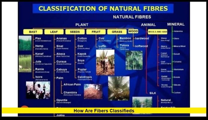 how are fibers classifieds Understanding Natural and Manufactured Textile Materials