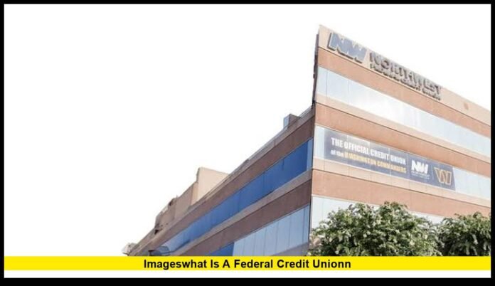 imageswhat is a federal credit unionn A Complete Guide to Membership, Banking Services, and Financial Protection