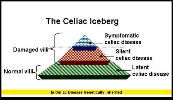 is celiac disease genetically inherited