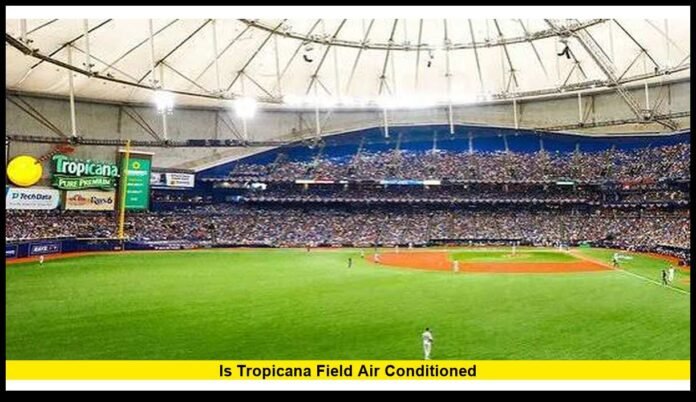 Inside the Rays’ Climate-Controlled Ballpark