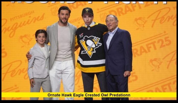 ornate hawk eagle crested owl predationn Latest Health Update, NHL Career, and Pittsburgh's Plans