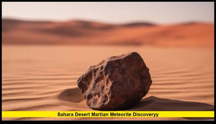 sahara desert martian meteorite discoveryy Uncovers Clues to Mars’ Earliest History