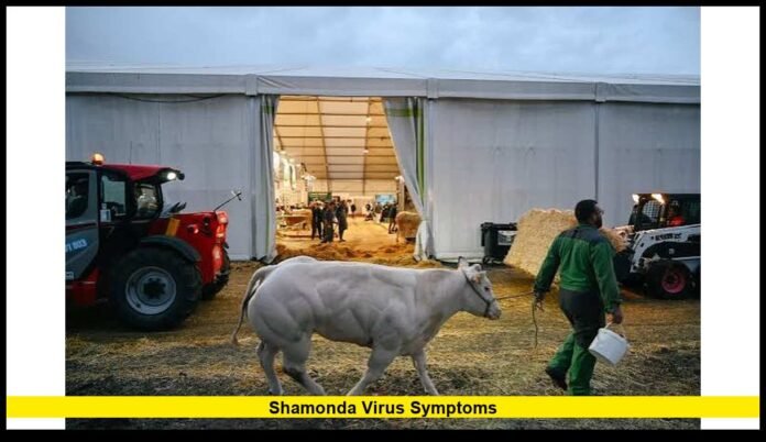 shamonda virus symptoms