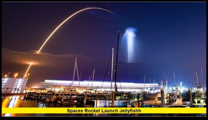 spacex rocket launch jellyfishh Why the Florida Sky Could Glow Again