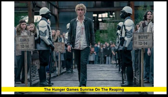 the hunger games sunrise on the reaping
