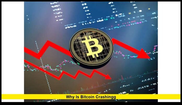 BTC Falls to a Six-Week Low as Crypto Selling Intensifies