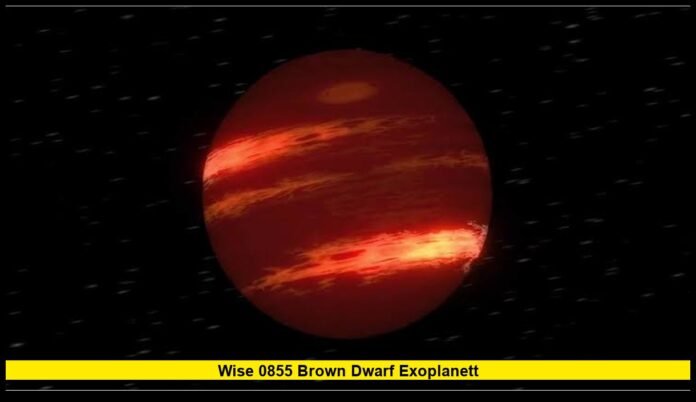 wise 0855 brown dwarf exoplanett James Webb Reveals Changing Water Clouds on a Nearby Cold World